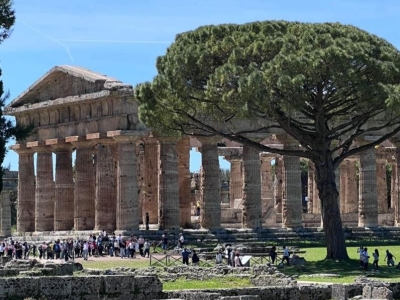 Paestum and visit at the buffalo cheese factory