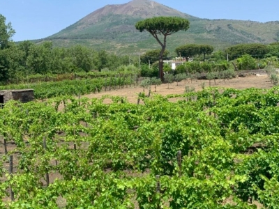 Pompeii and Vesuvius