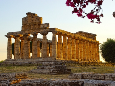 Paestum and visit at the buffalo cheese factory